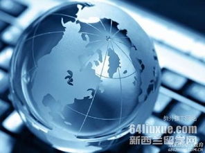 怀卡托大学电子商务专业